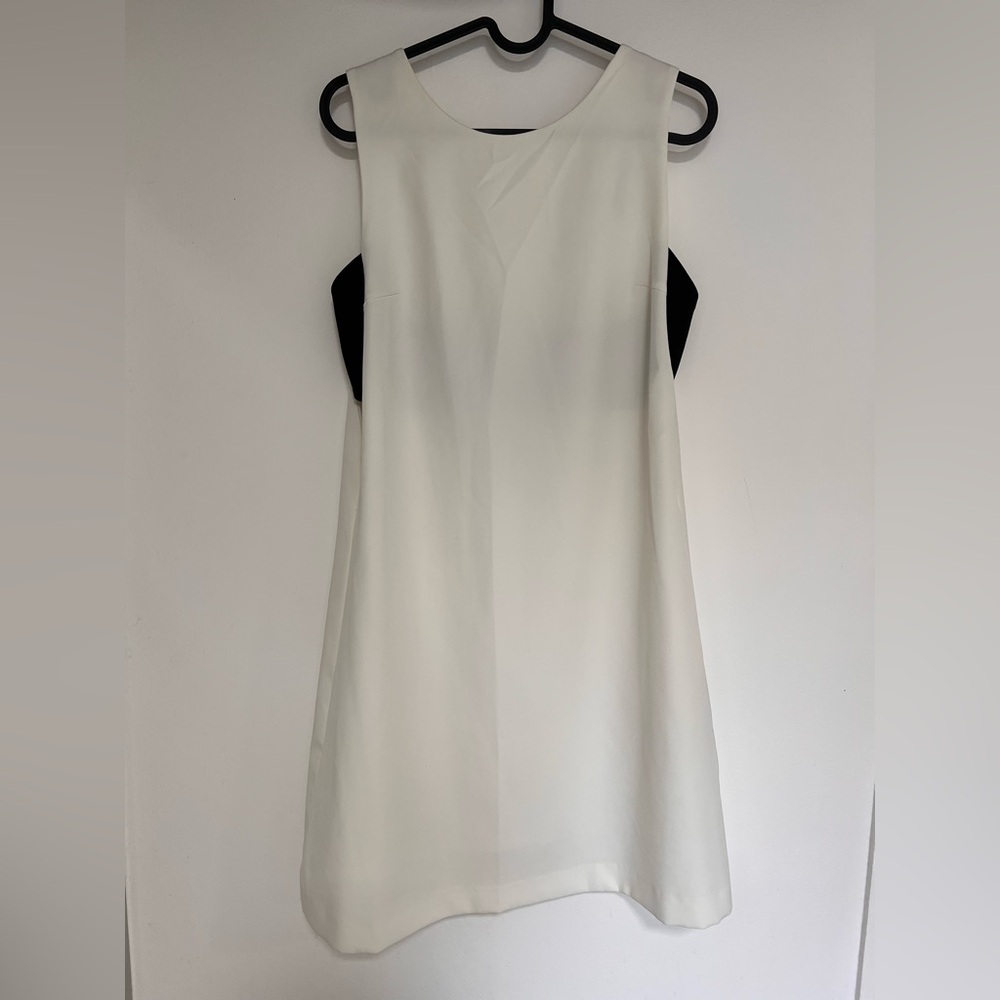 Zara Cream Sheath Mini Dress Mock Neck Sleeveless